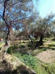Herceg Novi, građevinski placevi na 1.7 km od centra